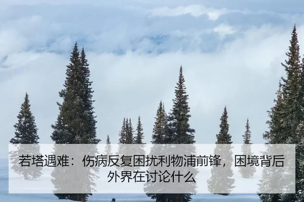 ruo-ta-yu-nan-shang-bing-fan-fu-kun-rao-li-wu-pu-qian-feng-kun-jing-bei-hou-wai-jie-zai-tao-lun-shen-me-2-300.jpg